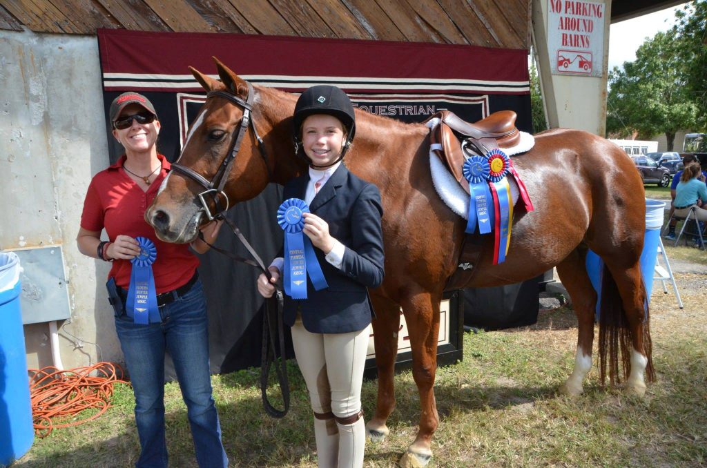 Horse Services Horse Training Call Lesley Cox Equestrian Today