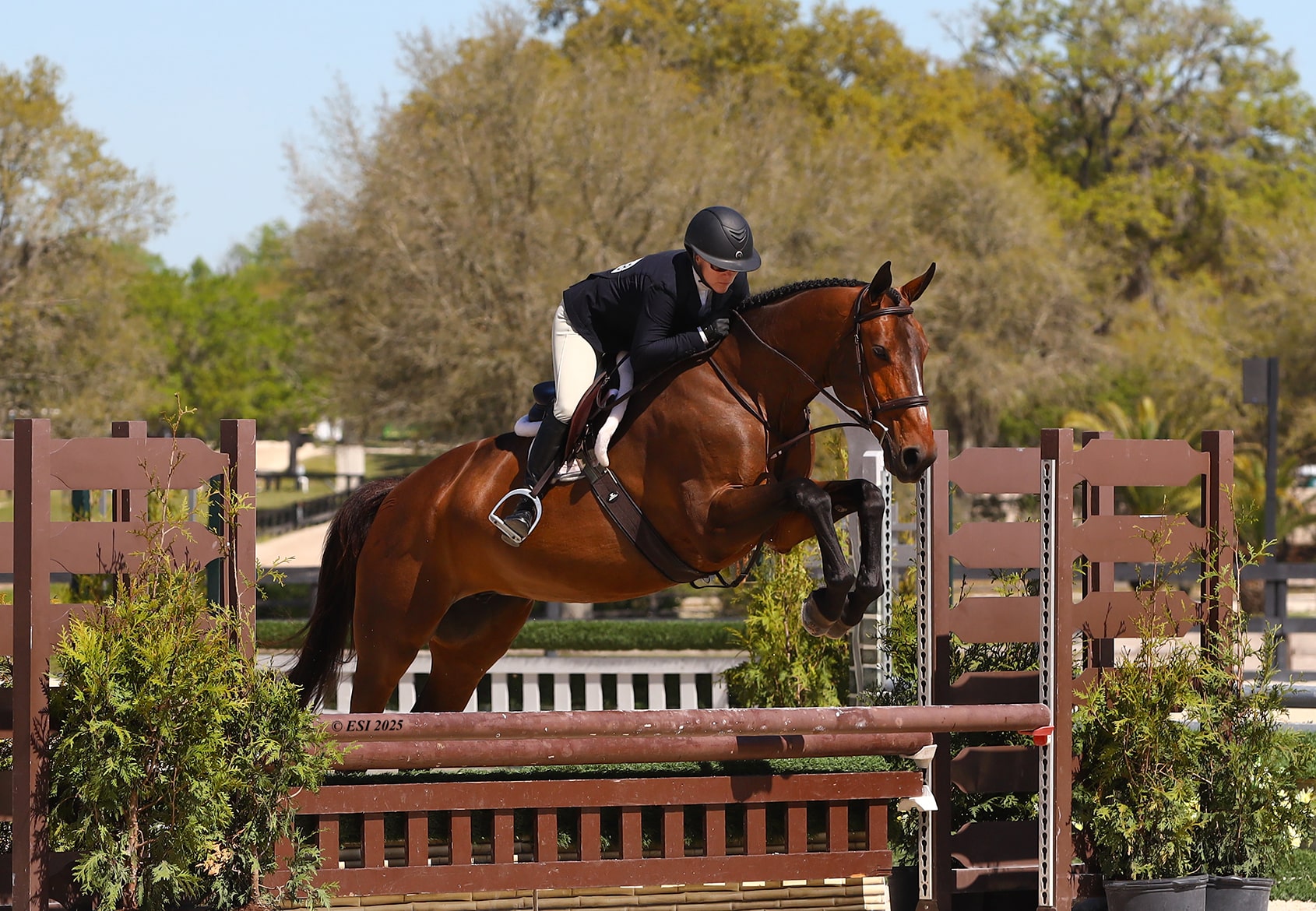equestrian center
