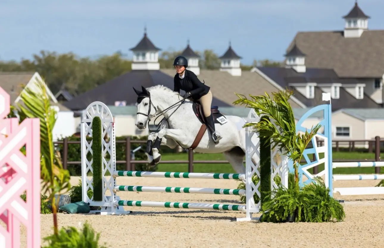 Horse Training & Riding